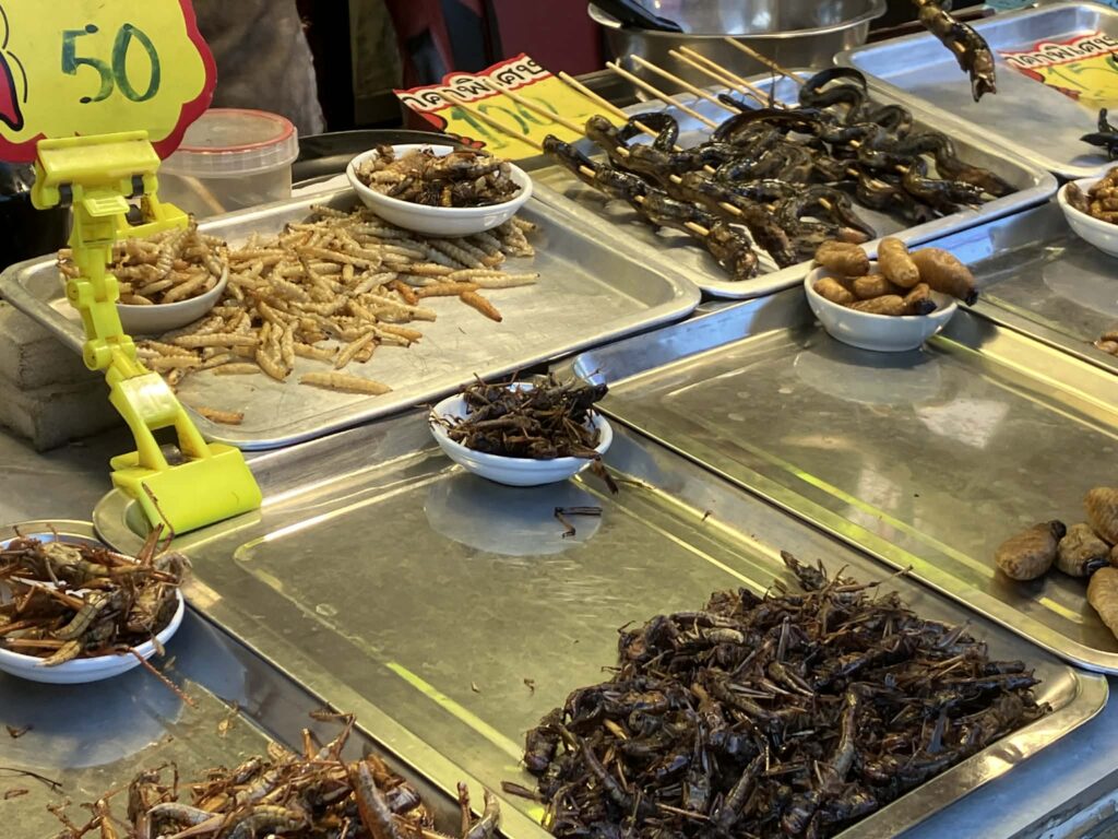 パタヤのRunway Market Pattayaで揚げた昆虫やヘビを販売する屋台の陳列