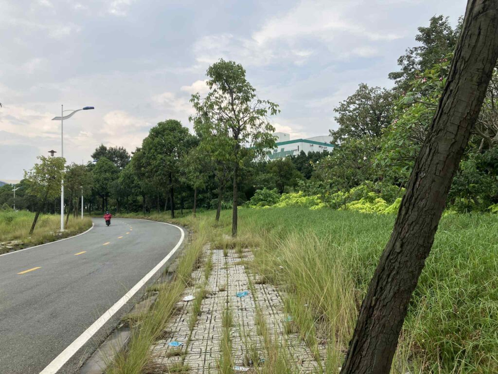 High Tech Park駅周辺に広がる緑と雑草に囲まれた産業エリアの道路