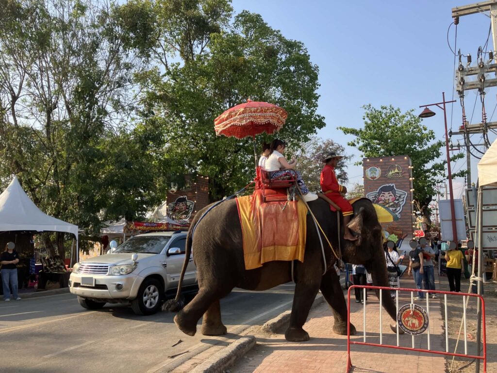アユタヤでの象乗り体験