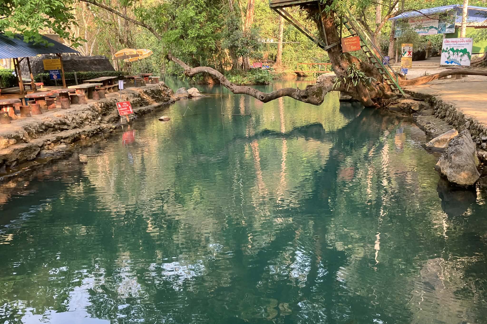 ブルーラグーン1 木からの飛び込みスポット