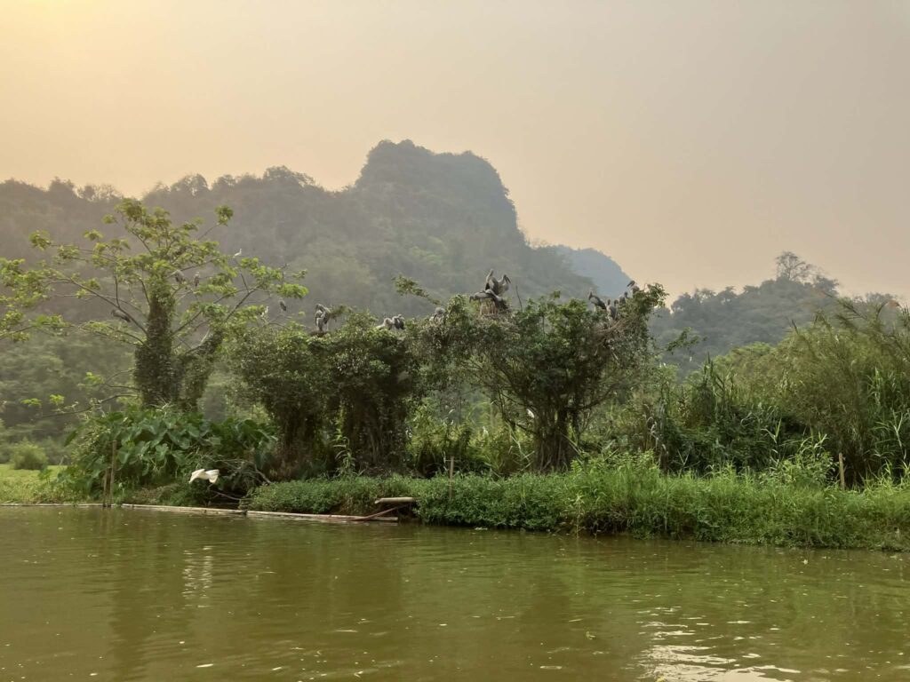 トゥンニャムのボートコース沿いで見た鳥園エリアの風景