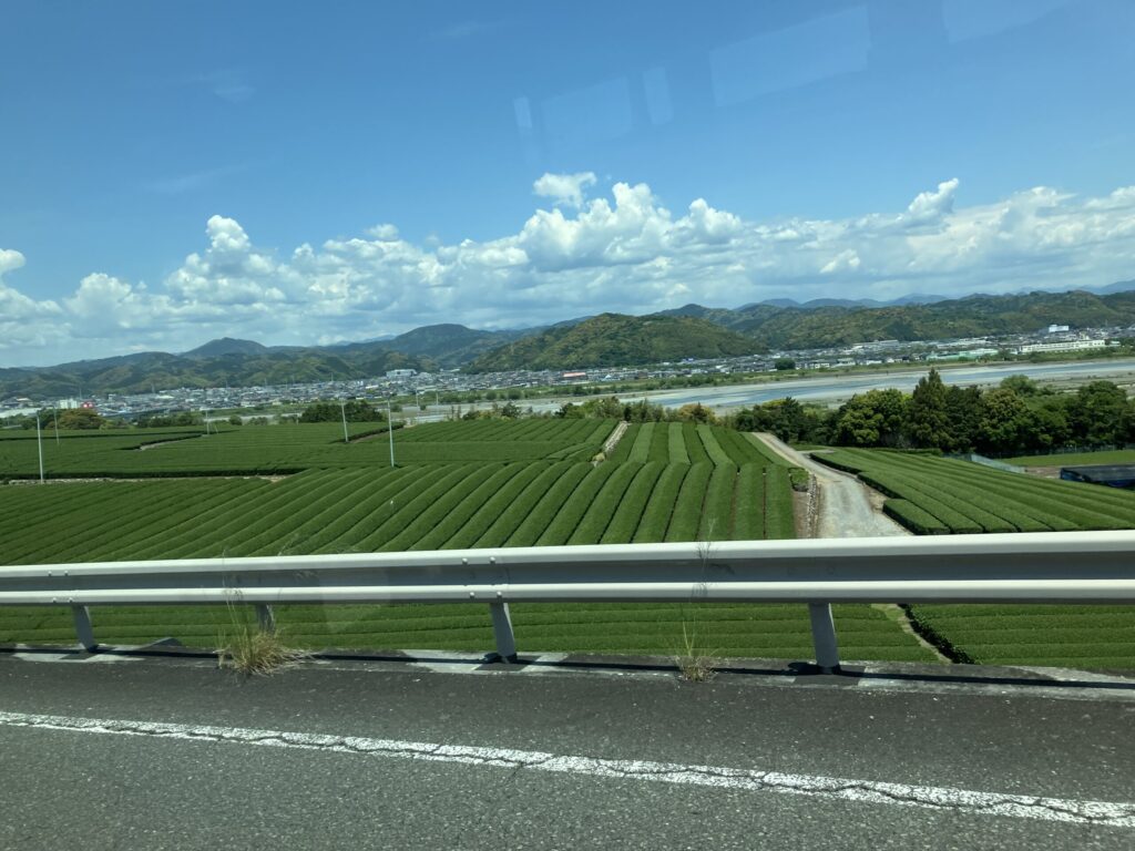 富士山静岡空港から島田駅へ向かうバス車窓の茶畑