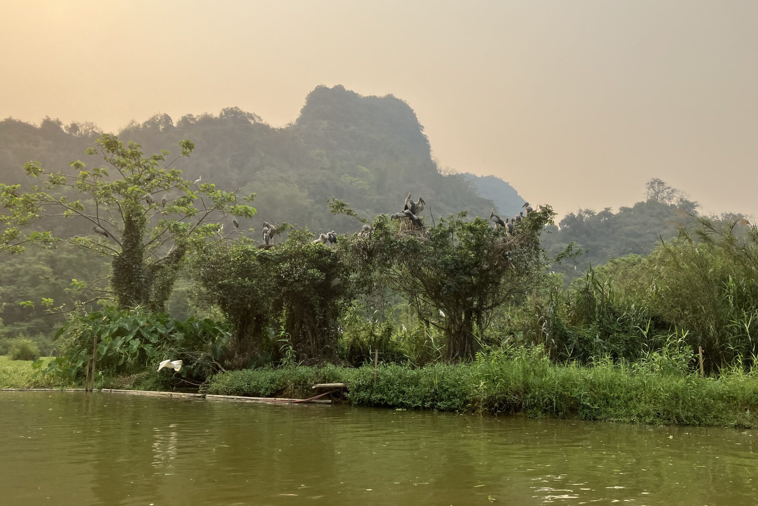 Thung Nham Bird Gardenの遠景