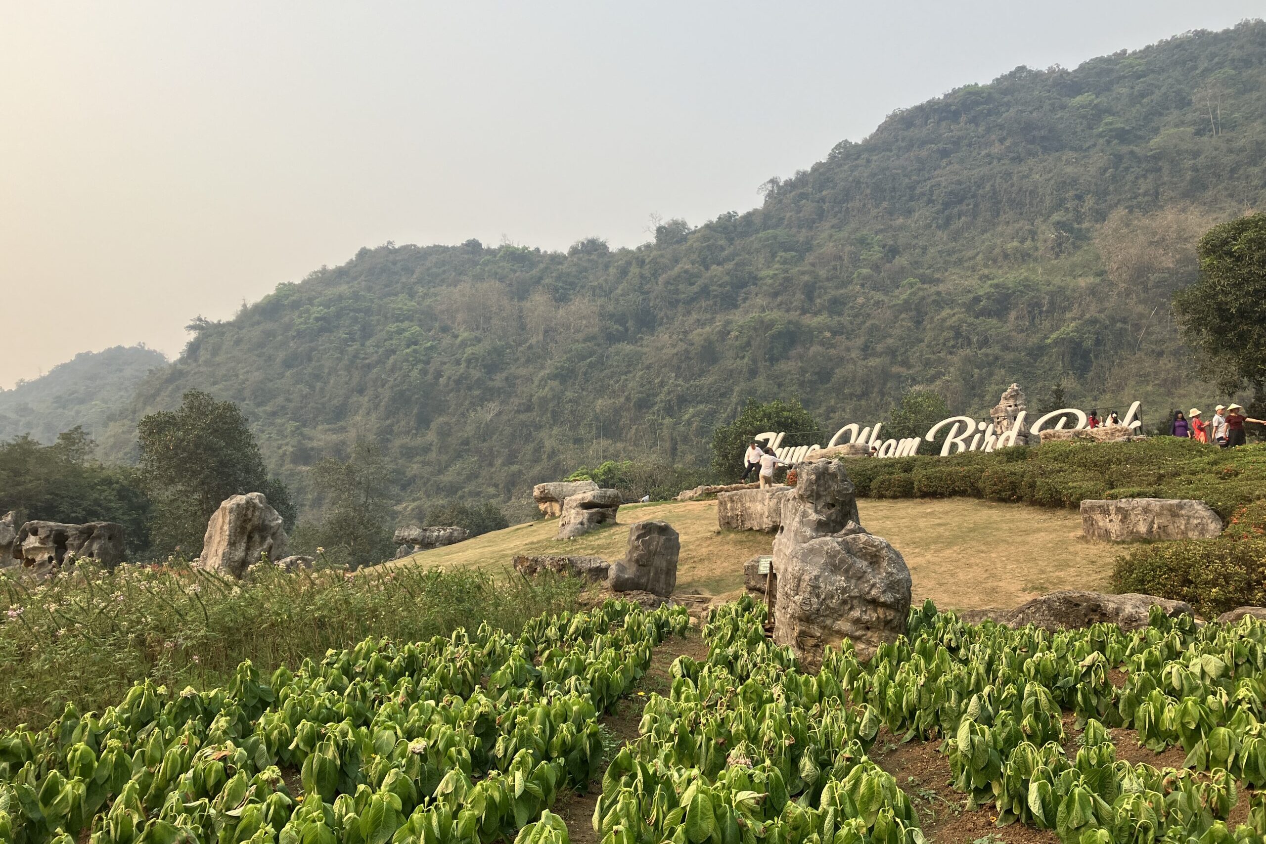 Thung Nham Bird Parkの看板と山並み